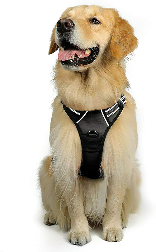 Multicolor Dog Harness (Size Large) No-Pull Pet Harness with 2 Leash Clips, Adjustable Soft Padded Dog Vest, Reflective No-Choke Pet Oxford Vest with Easy Control Handle for Large Dogs